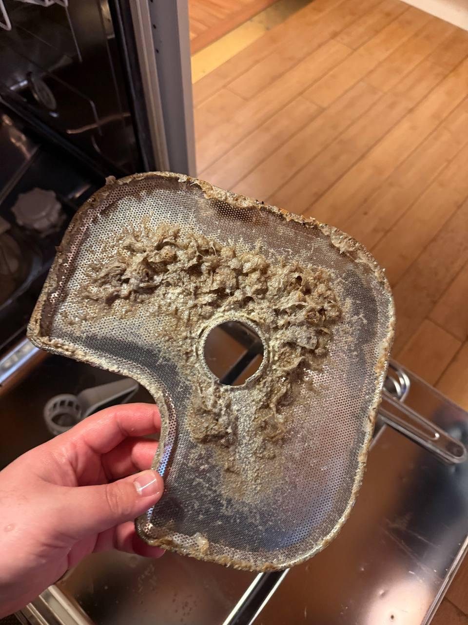 Dishwasher drain service